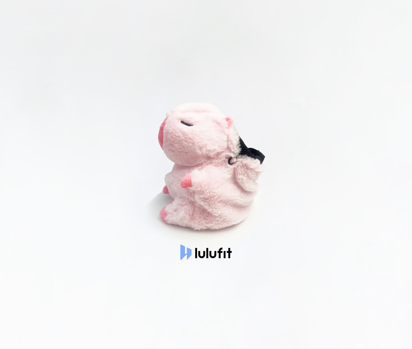Pink Capybara Chalk Bag
