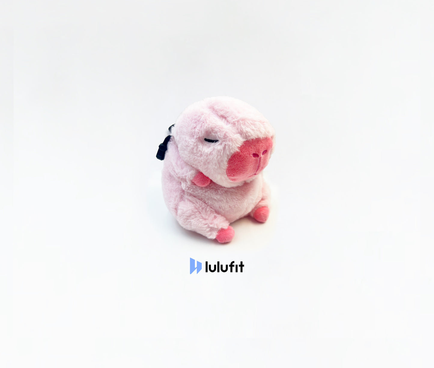 Pink Capybara Chalk Bag
