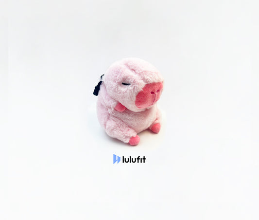 Pink Capybara Chalk Bag